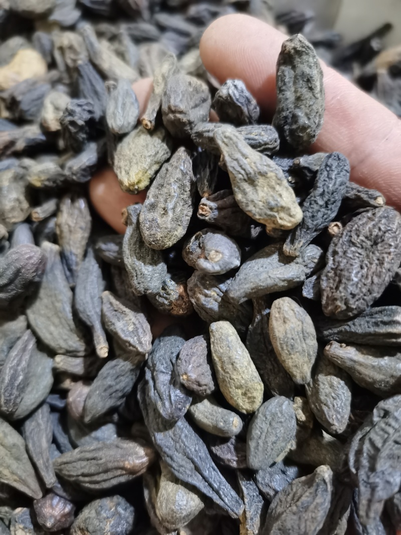 青果西青果泽润中药批发零售各种中药材