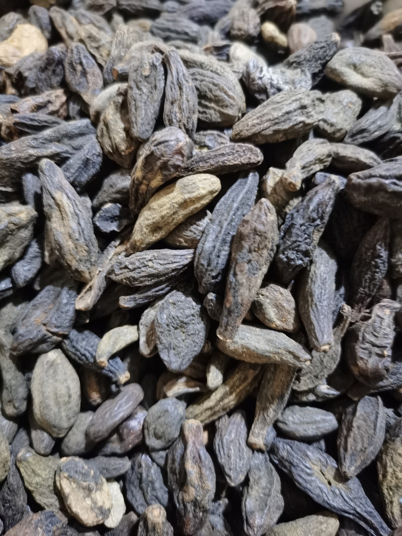 青果西青果泽润中药批发零售各种中药材