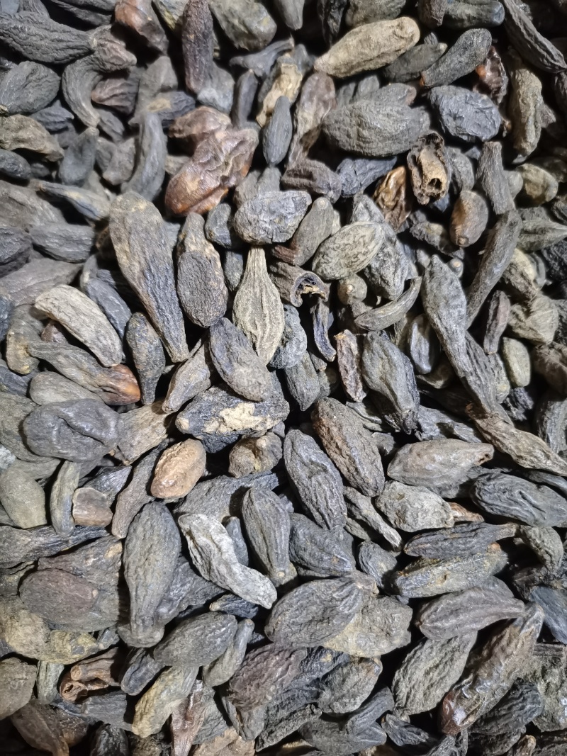 青果西青果泽润中药批发零售各种中药材