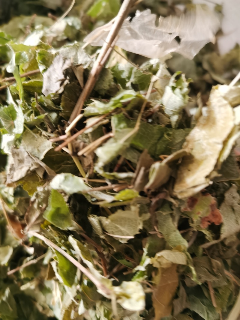 淫羊藿甘肃新货淫羊藿泽润中药批发零售各种中