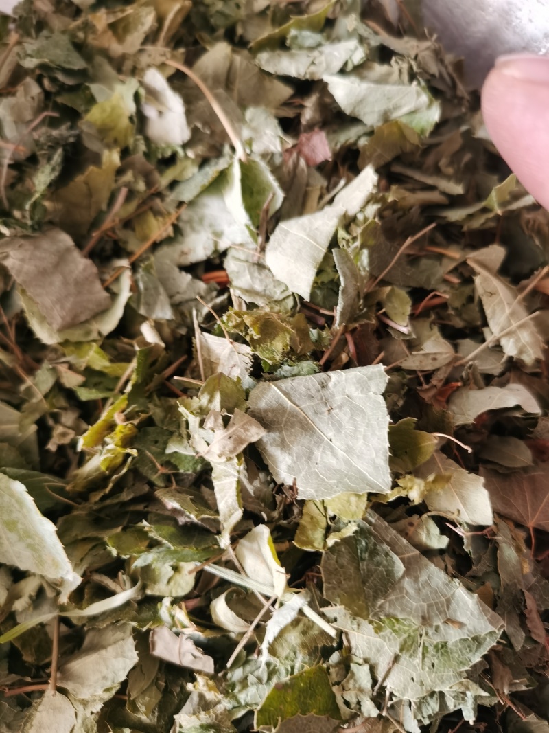 淫羊藿甘肃新货淫羊藿泽润中药批发零售各种中