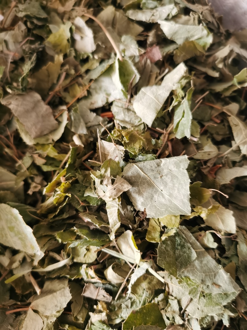 淫羊藿甘肃新货淫羊藿泽润中药批发零售各种中