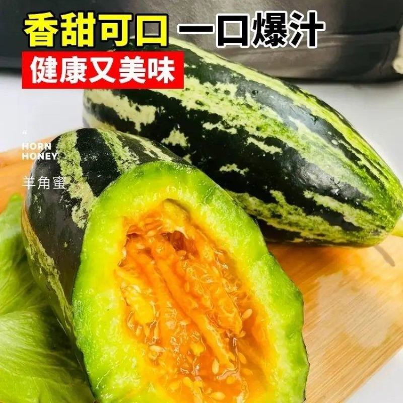 山东甜瓜博洋九号脆甜多汁一件代发大量上市欢迎实地考察