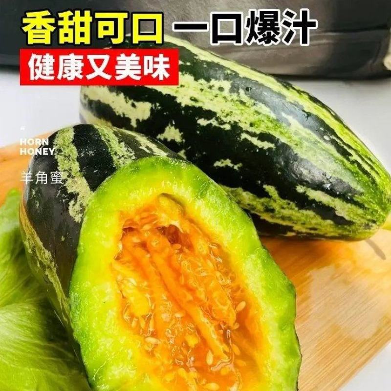 山东甜瓜博洋九号脆甜多汁一件代发大量上市欢迎实地考察