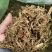 新鲜青贮牧草