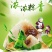 迷你小棕批发
