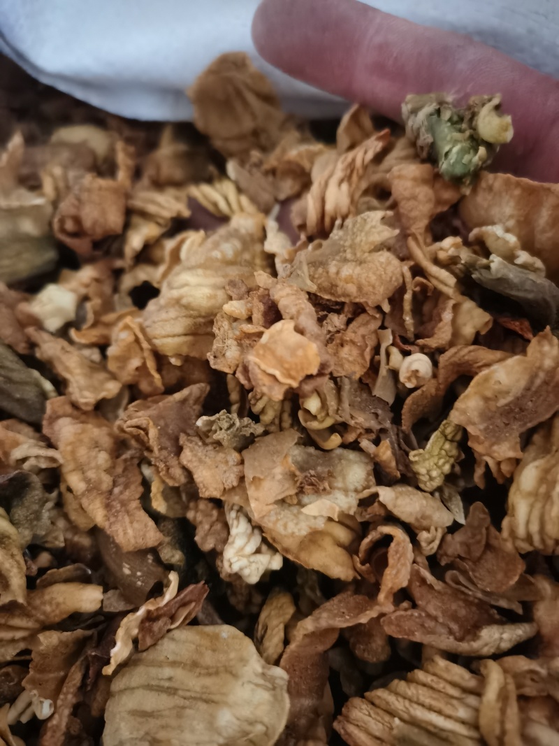鸡内金炒鸡内金泽润中药批发零售各种中药材