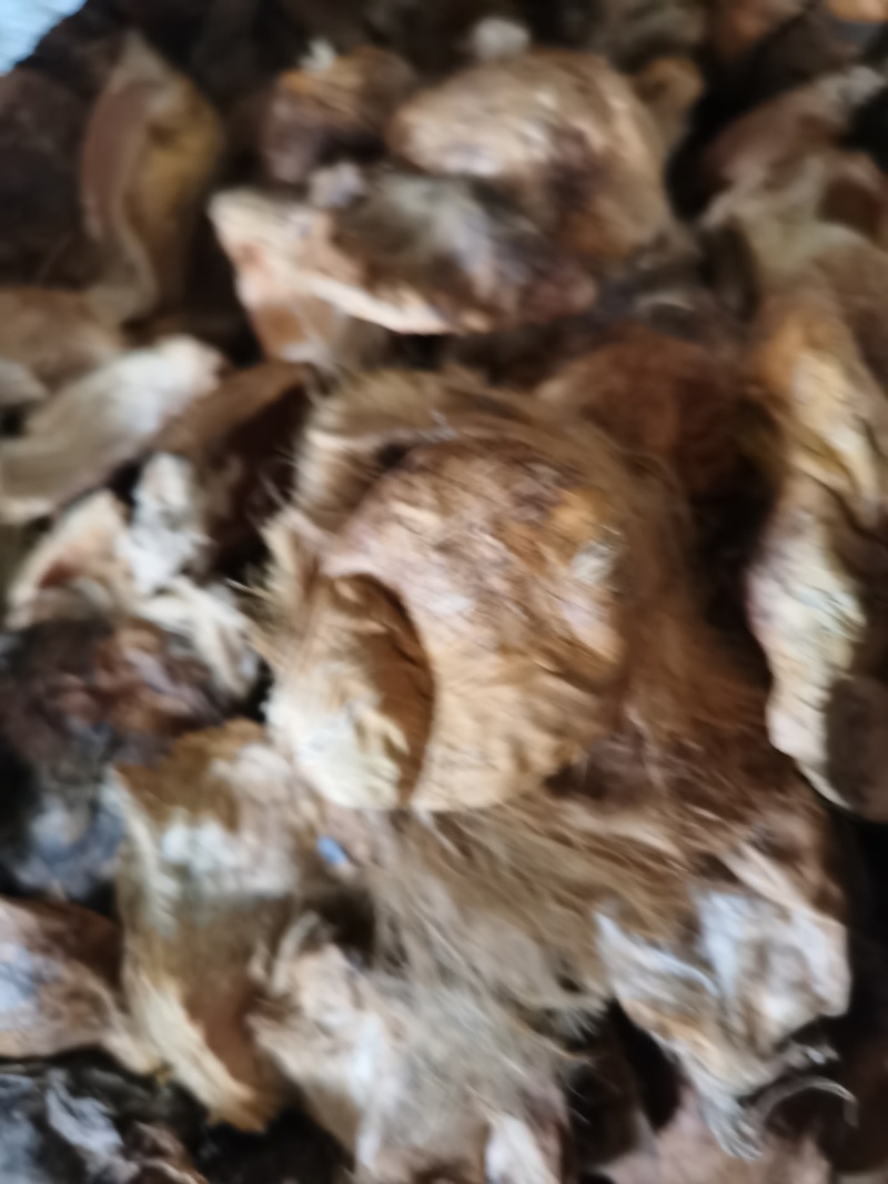大腹皮泽润中药批发零售各种中药材