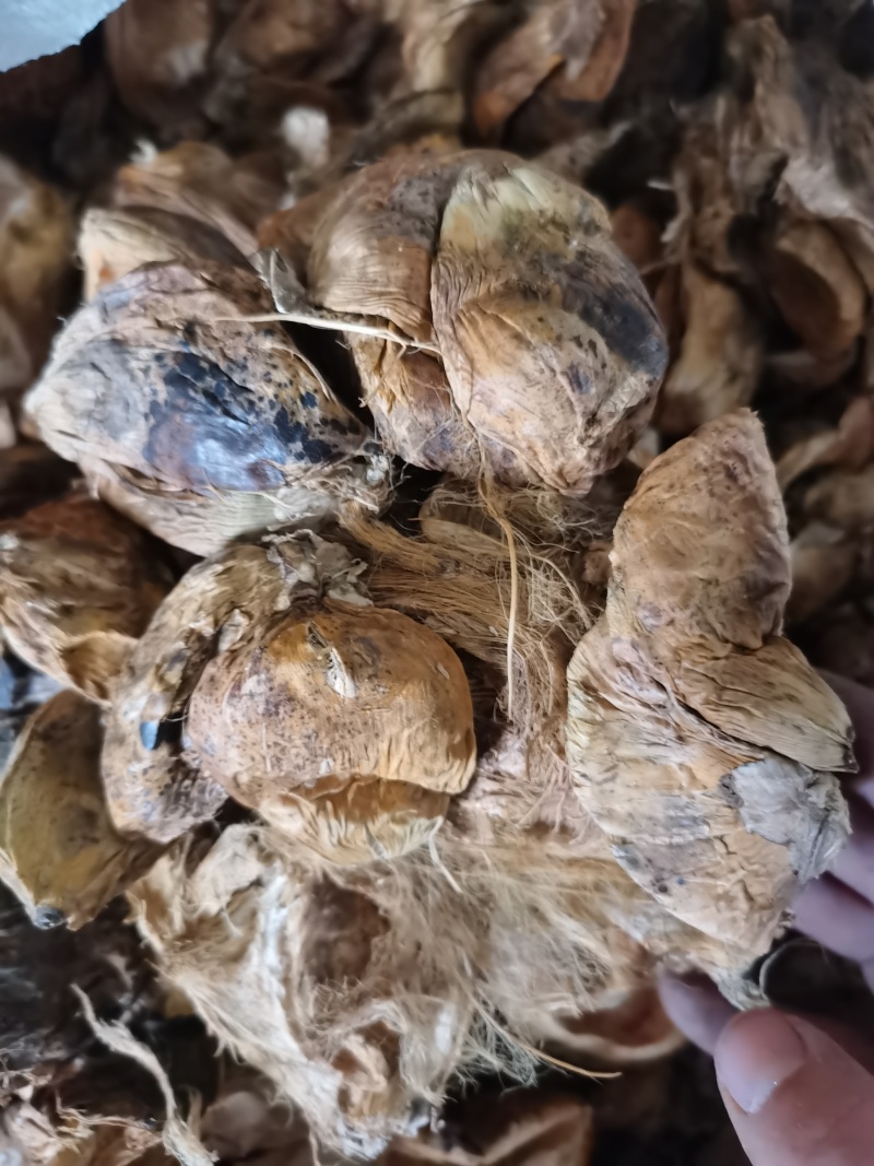 大腹皮泽润中药批发零售各种中药材