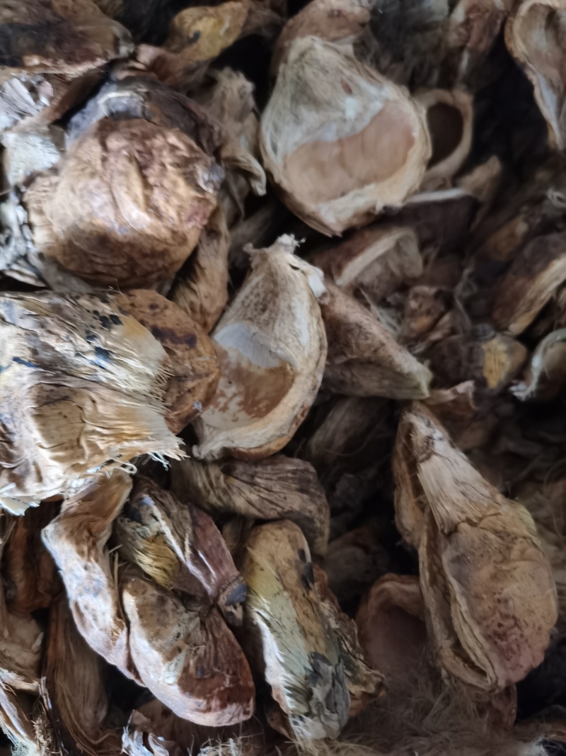 大腹皮泽润中药批发零售各种中药材