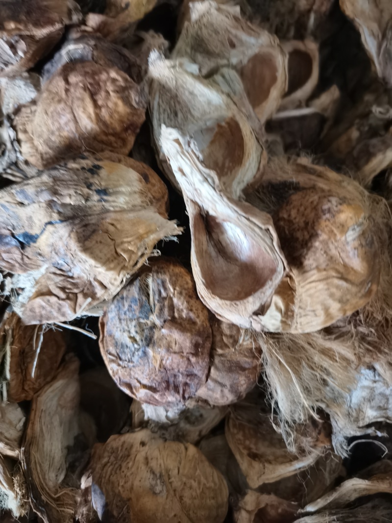 大腹皮泽润中药批发零售各种中药材