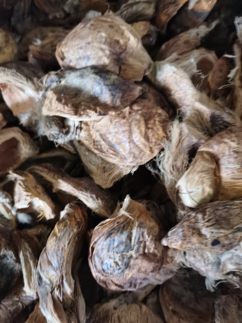 大腹皮泽润中药批发零售各种中药材