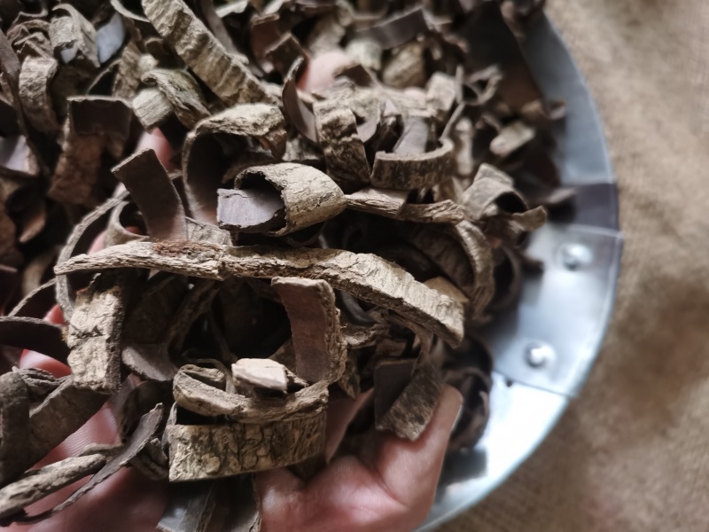 杜仲皮炒杜仲丝泽润中药批发零售各种中药材