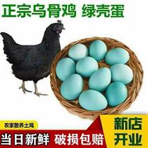 【】正宗绿壳蛋乌鸡蛋农家散养土鸡蛋笨鸡蛋青皮蛋壳