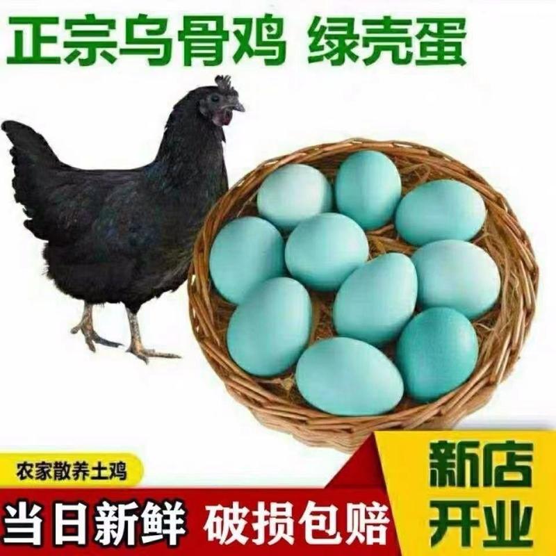 【包邮】正宗绿壳蛋乌鸡蛋农家散养土鸡蛋笨鸡蛋青皮蛋壳