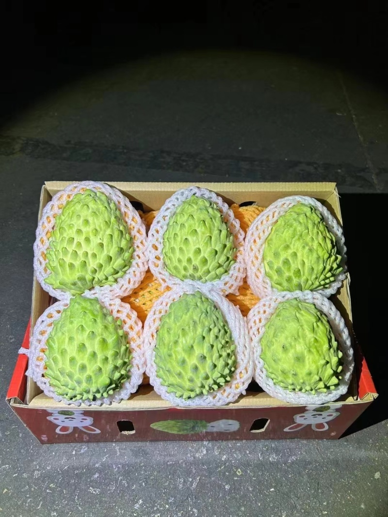 凤梨释迦大量供应产品批发品质保证价格实惠量大从优