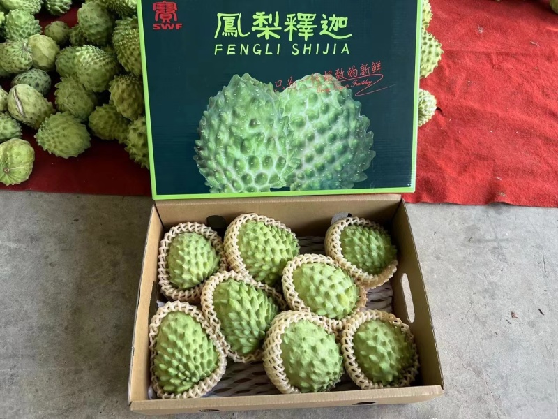 凤梨释迦大量供应产品批发品质保证价格实惠量大从优