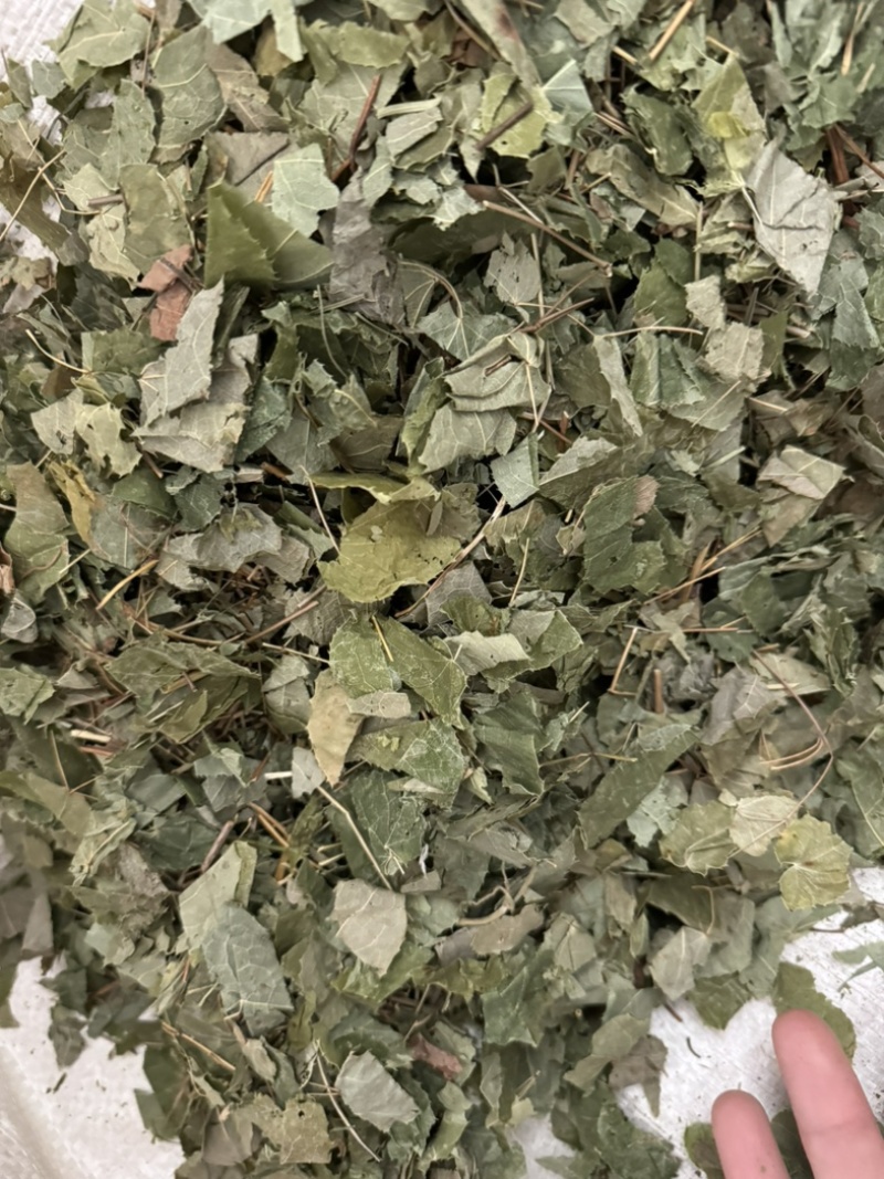 淫羊藿实拍图片现货秒发淫羊藿