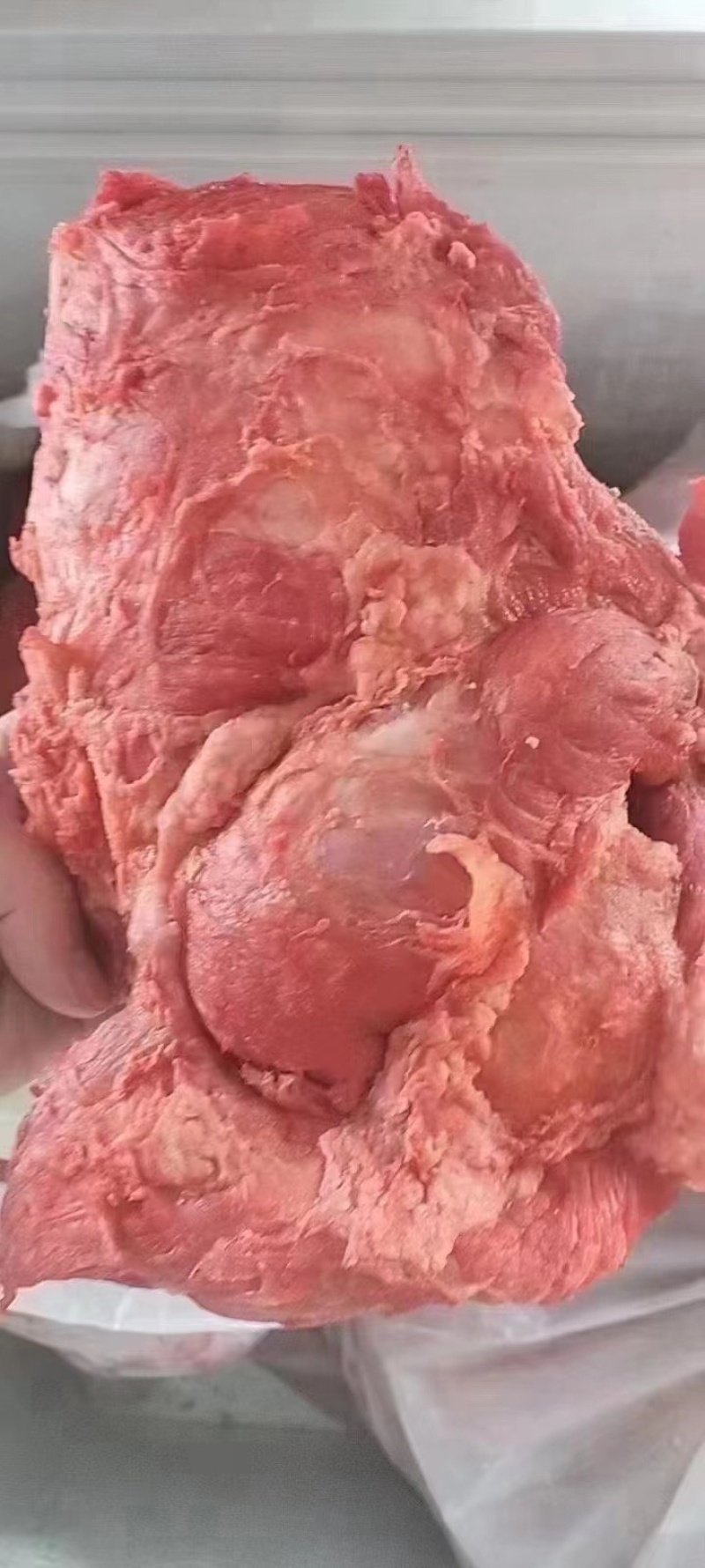 红大块全熟红大块卤味卤肉卤菜馆卤菜摊