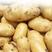 优质土豆希森土豆v7黄心土豆荷兰土豆品种齐全常年供应