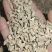 牛膝河南焦作牛膝切粒怀牛膝牛膝河南焦作牛膝切
