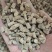 牛膝河南焦作牛膝切粒怀牛膝牛膝河南焦作牛膝切