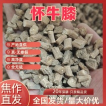 牛膝河南焦作牛膝切粒怀牛膝牛膝河南焦作牛膝切