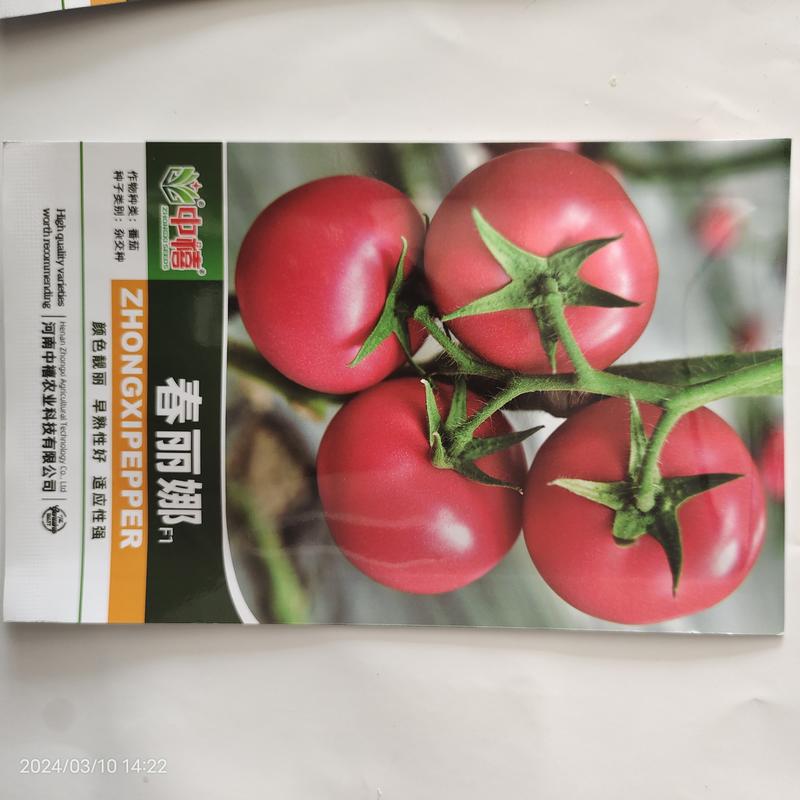 【厂家批发】西红柿种子早熟果大果硬抗性好2000粒
