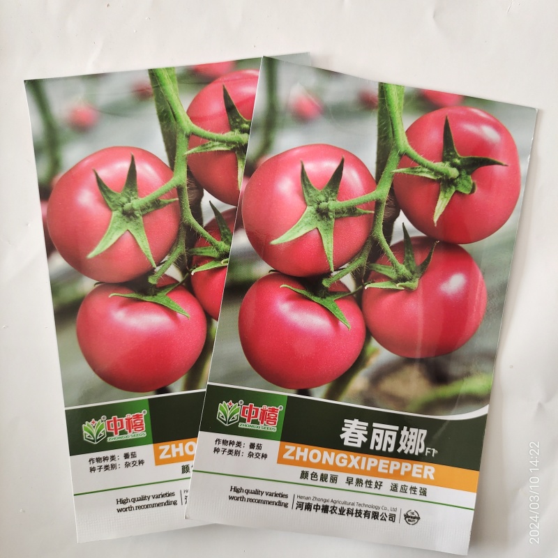 【厂家批发】西红柿种子早熟果大果硬抗性好2000粒