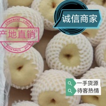 「好货」陕西冷库蜜梨，蒲城贡梨蒲城酥梨，源头产地直供