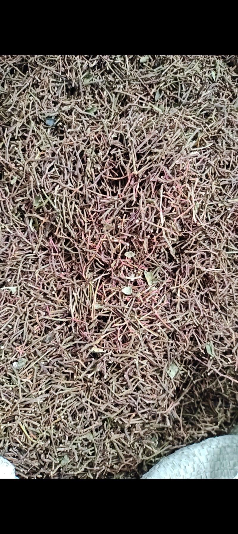 大红袍花椒杆，可打调料，产地直发，一手货源，欢迎采购