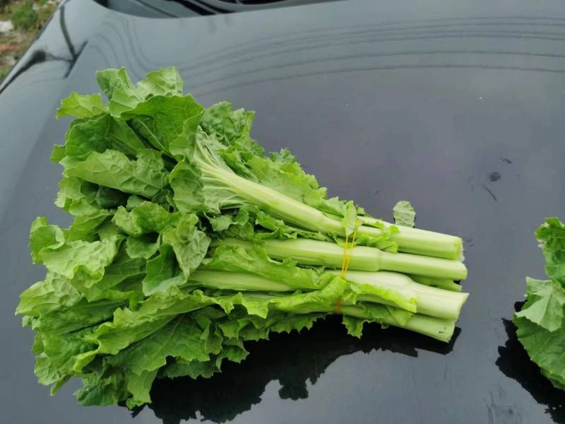 白菜苔精品大量上市