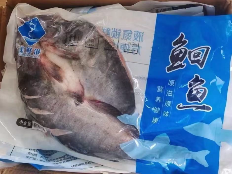 开背清江鱼叉尾鮰鱼烤鱼半成品工厂活鱼现沙