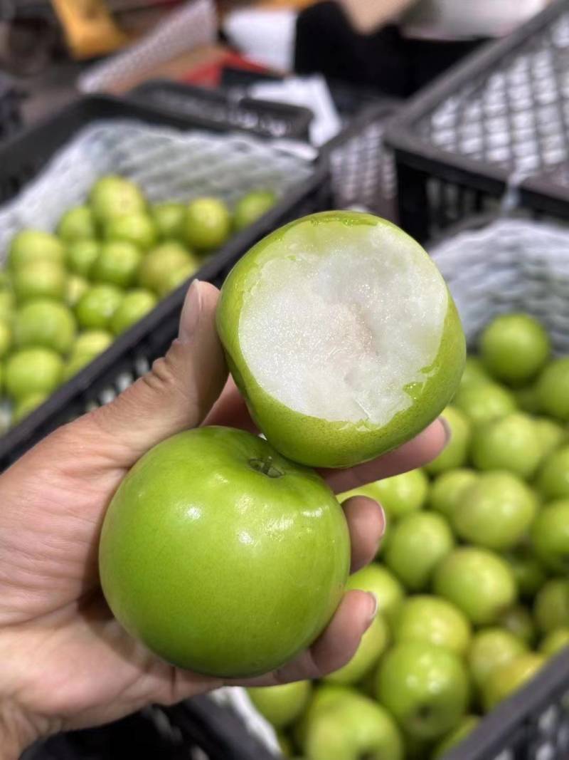 版纳苹果枣花皮果一件代发批发价