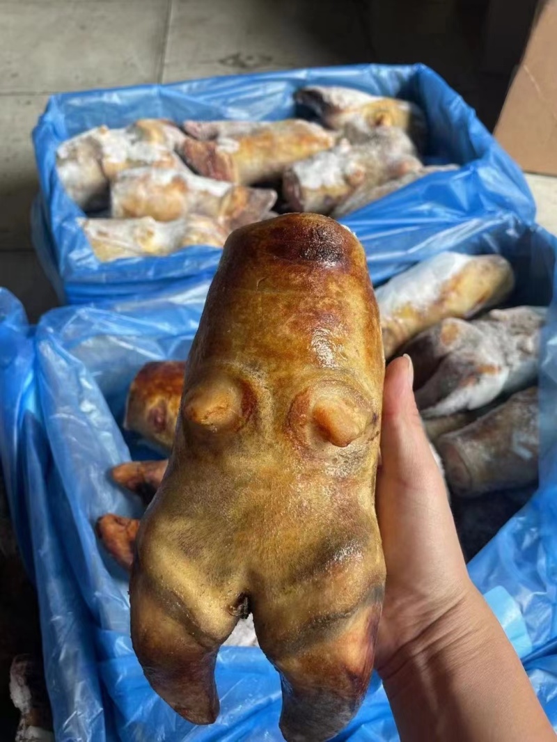 火烧牛蹄去毛带筋带骨批发