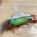 【卤猪蹄】全熟卤猪蹄开袋即食独立真空包装一件20斤