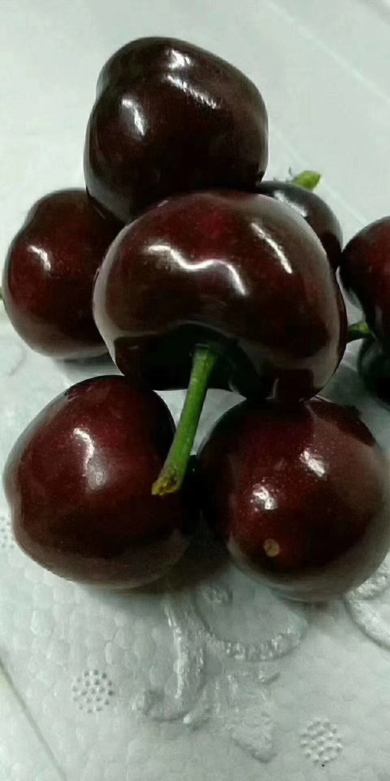 大樱桃