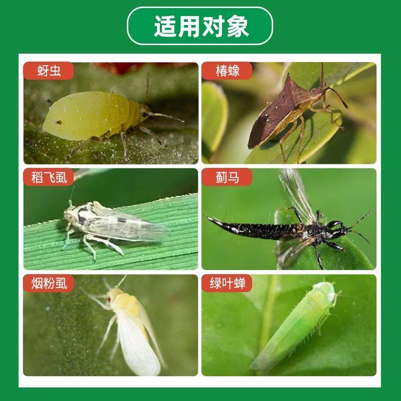 沪联飞刹20%呋虫胺杀虫剂水稻小麦蚜虫白粉虱稻飞虱腻虫正