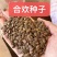 合欢种子出售