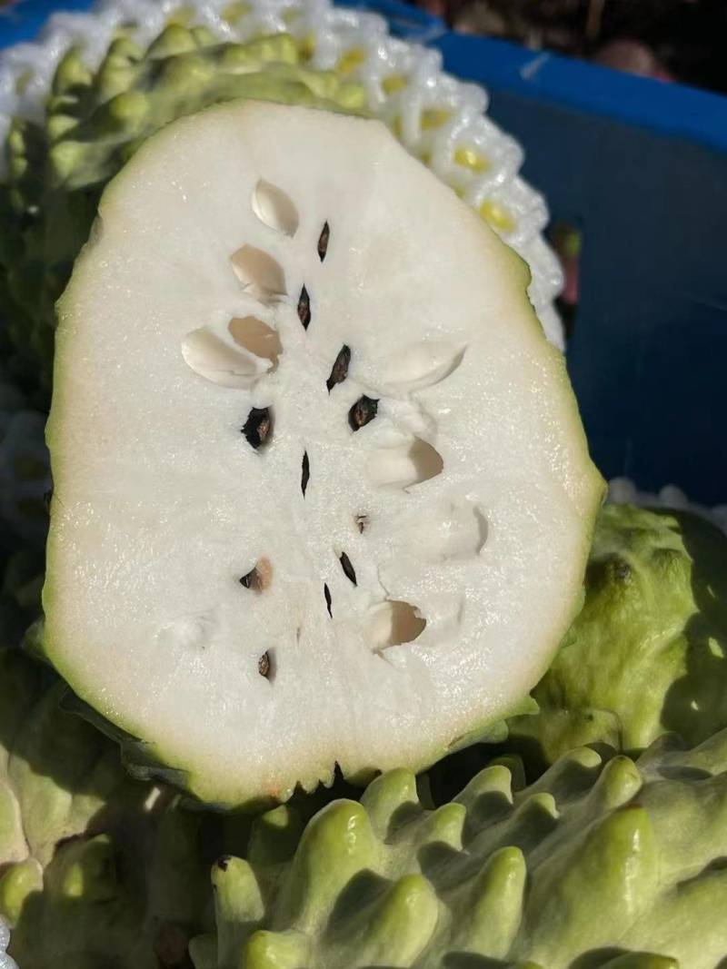 云南热带凤梨释迦果一件代发批发价