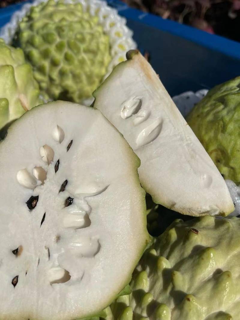 云南热带凤梨释迦果一件代发批发价
