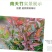 南天竹树苗红天竺盆栽苗火焰红叶植物观叶庭院耐寒绿化苗木风