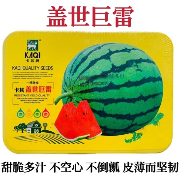 卡其盖世巨雷西瓜种子果肉红色甜度高皮薄坚韧大果型圆瓜西瓜