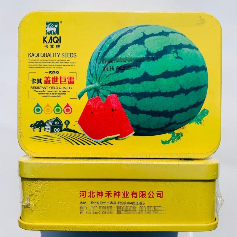 卡其盖世巨雷西瓜种子果肉红色甜度高皮薄坚韧大果型圆瓜西瓜