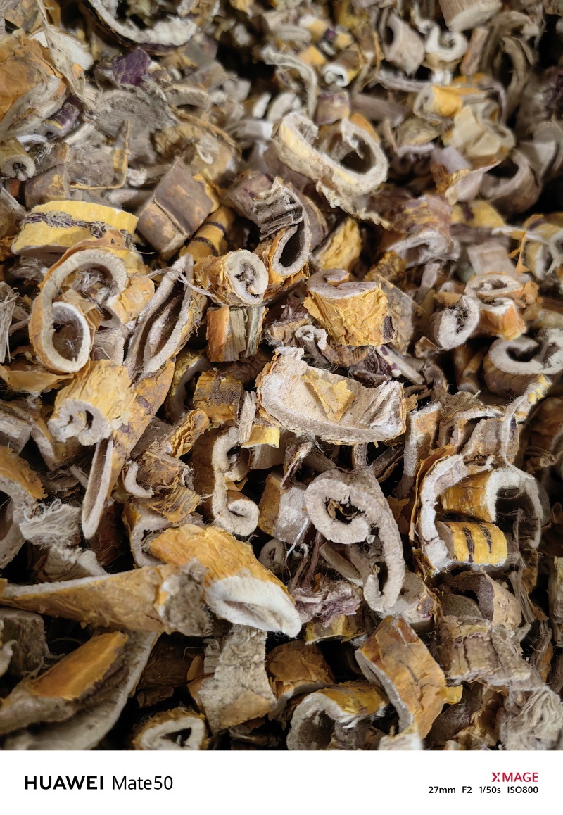 桑白皮低价桑白皮万信药业只做保真药材