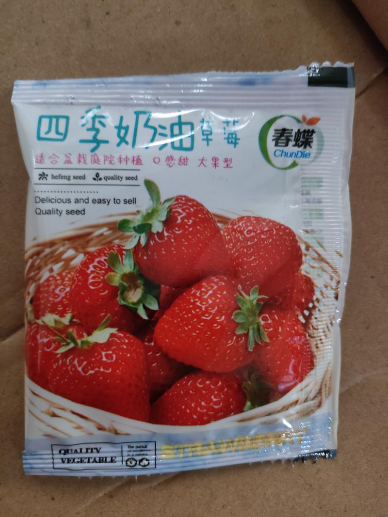 草莓种子红颜草莓白雪公主奶油草莓种籽大果香甜草莓种子水果