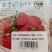 草莓种子红颜草莓白雪公主奶油草莓种籽大果香甜草莓种子水果