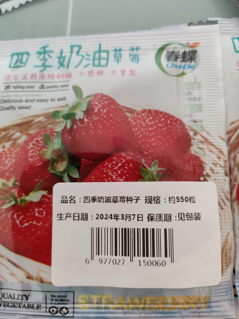 草莓种子红颜草莓白雪公主奶油草莓种籽大果香甜草莓种子水果