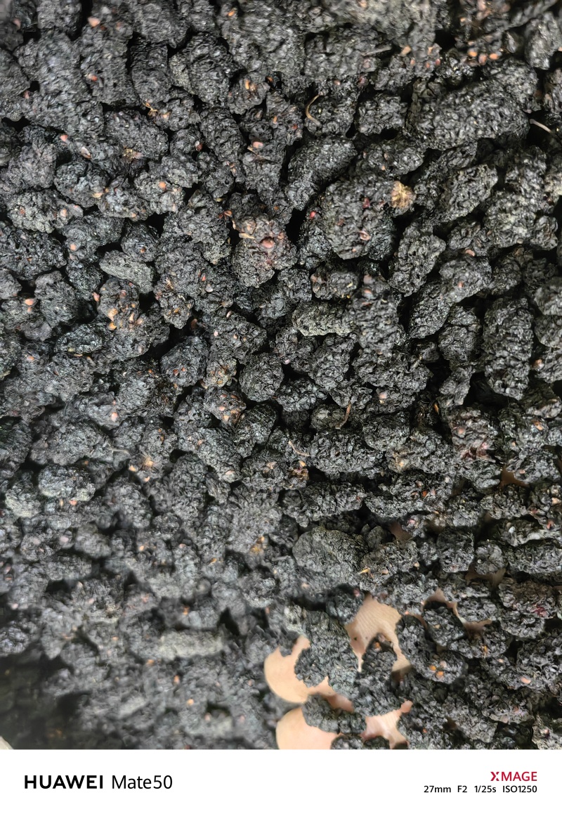 桑葚子桑椹干桑椹抓药用万信药业只做保真药材