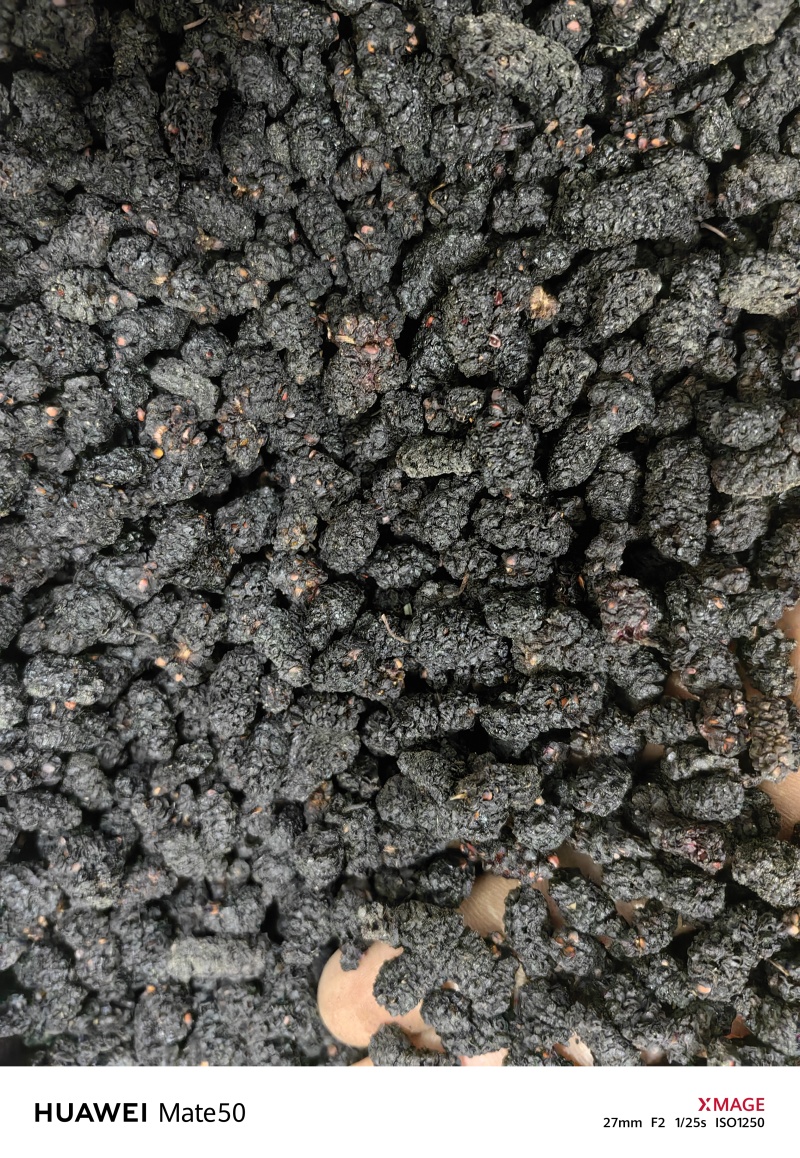桑葚子桑椹干桑椹抓药用万信药业只做保真药材